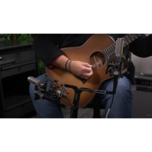 Royer Labs FlexBar