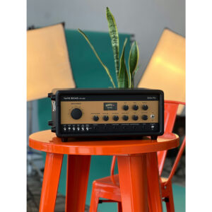 Echo Fix EF-X2 mk II Tolex - Gold