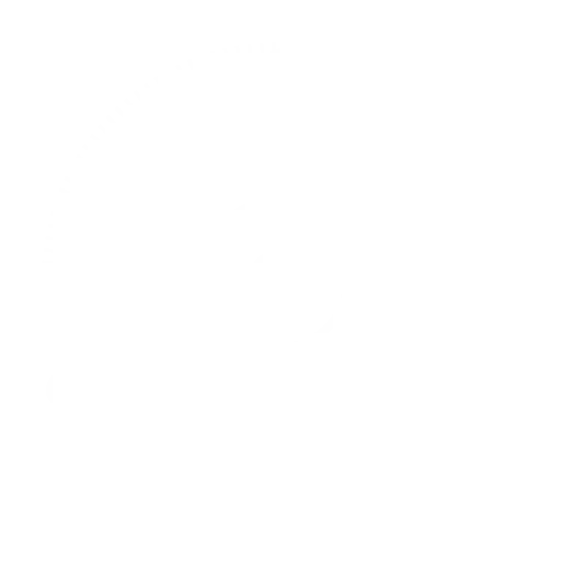 White triangle with centered speaker and sunburst lines on black background, forming a modern, dynamic audio-themed logo design.