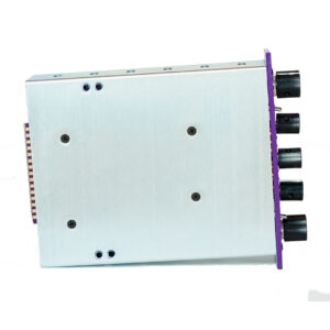 Purple Audio Action