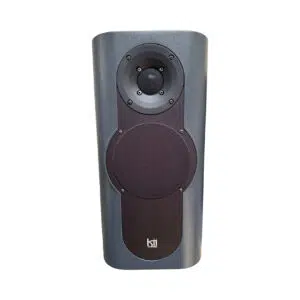 Preowned Kii THREE Dark Grey Pair (SN 3002/3003), circular woofer, compact tweeter, logo base, remote control included.