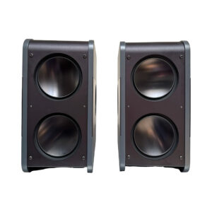 Kii THREE Dark Grey preowned speakers pair (SN 3002/3003) with remote, dual woofers, shown front-facing on white background.