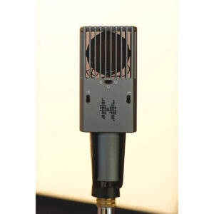 Heiserman Audio Type-21 black large diaphragm condenser mic with vented slats, on stand, light background.